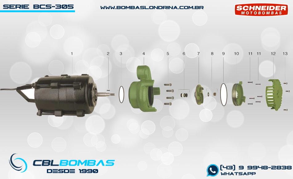 foto do explodido da bomba BCS-305