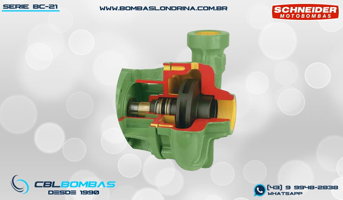 foto interna da bomba BC-21 R 2