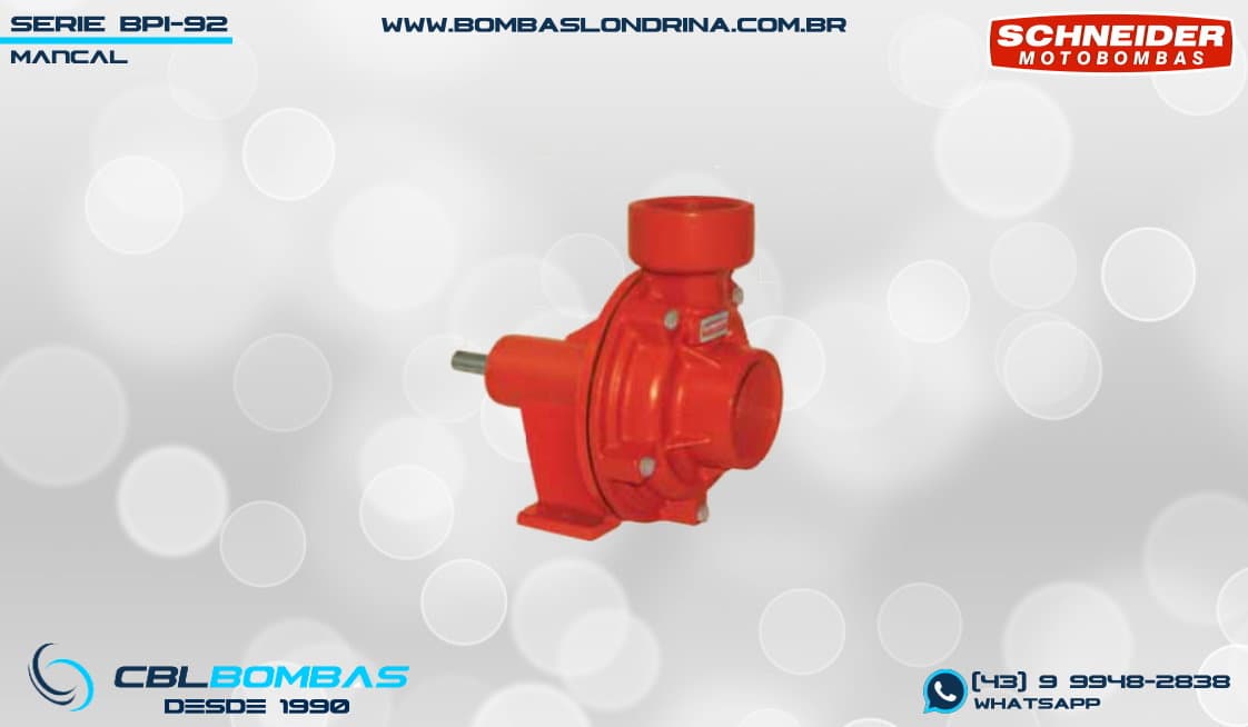 foto da peça mancal da bomba BPI-92 T F 2 1/2