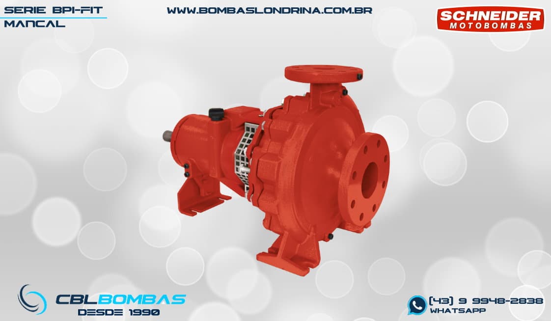 foto da peça mancal da bomba BPI-FIT 125-080-250 4POLOS