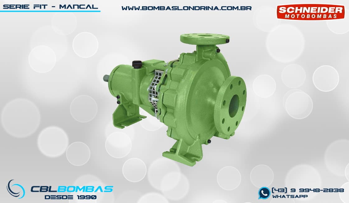 foto da peça mancal da bomba FIT 100-065-200 4POLOS