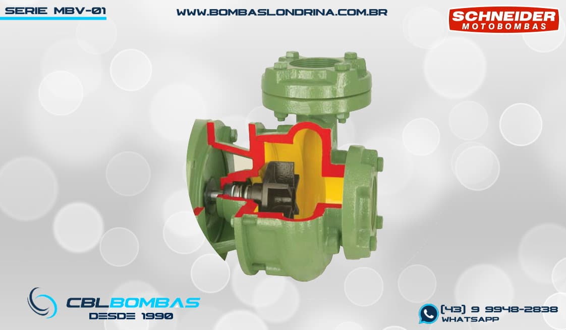 foto interna da bomba MBV-01 F 2