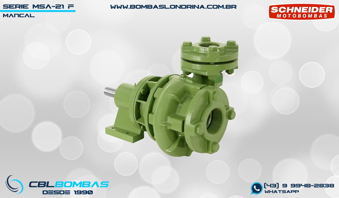 foto da peça mancal da bomba MSA-21 F 2