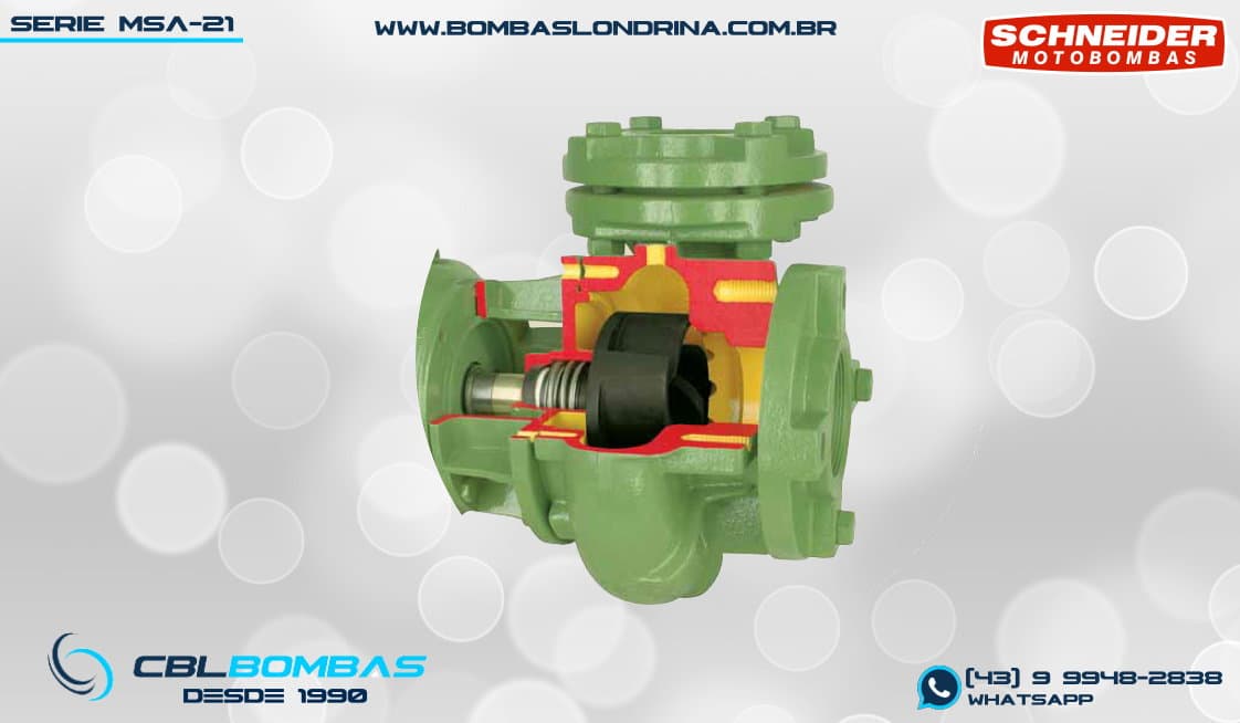 foto interna da bomba MSA-21 R 1 1/4