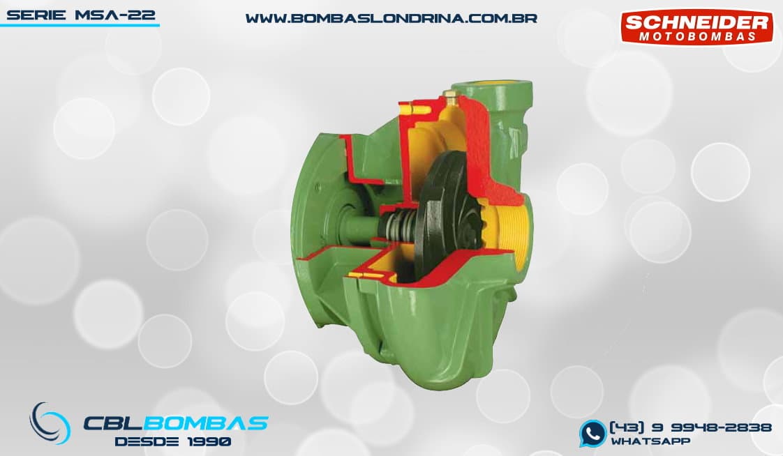 foto interna da bomba MSA-22 R 1 1/2